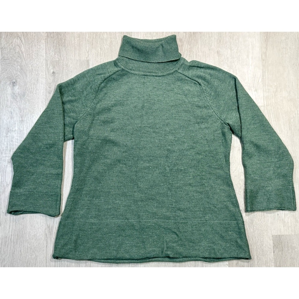 Sarah Spencer Sweater Green 100% Merino Wool Turtle Neck Womens Size 2X